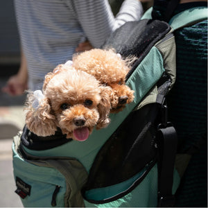 PET CARRYING BAGS