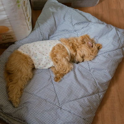 PET BEDS